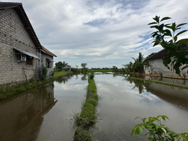 TANAH WATU KEBO